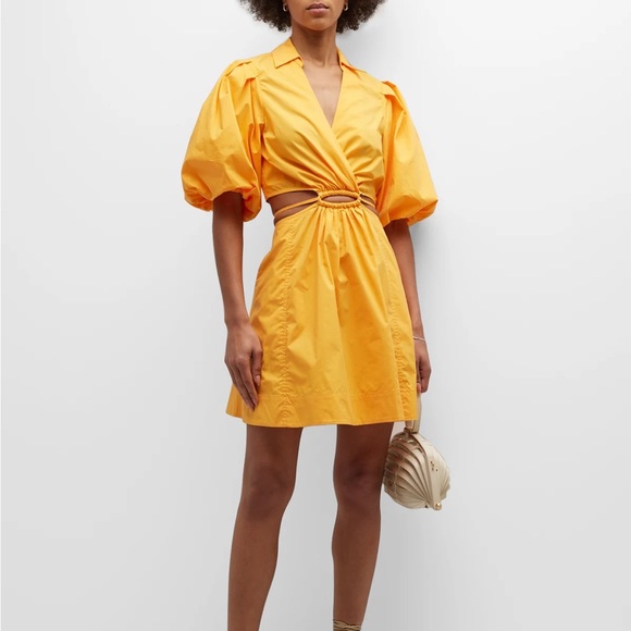 JONATHAN SIMKHAI Aulora Puff-Sleeve Cut-Out Minidress - Picture 4 of 12